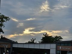 -日照海滨国家森林公园