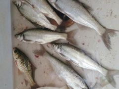 -南京金牛湖风景区