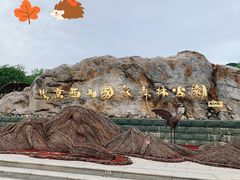 -北京西山国家森林公园