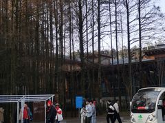 -山王坪喀斯特国家生态公园