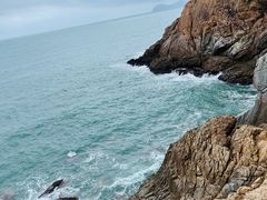 -广东惠东海龟国家级自然保护区