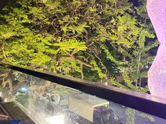 -LAMP BAR 水烟音乐酒吧