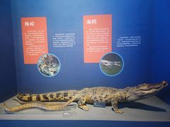 -浙江自然博物院(杭州馆)