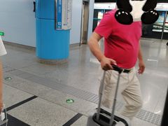 -潘家园(地铁站)