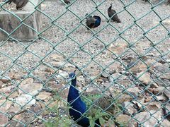 -南京金牛湖风景区