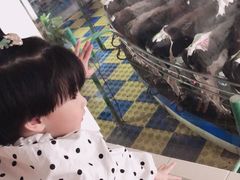 -君乐宝优致牧场