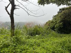 -梧桐山风景名胜区