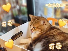 -咖法森林·咖啡  酒吧(天河店)