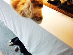 -自由生长植物工作室(深港花卉中心店)