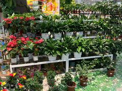 -大润发(花雨店)