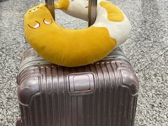 -太原武宿国际机场-T1航站楼