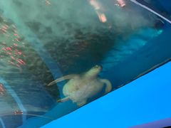 -北国之春国宴(乌兰察布店)