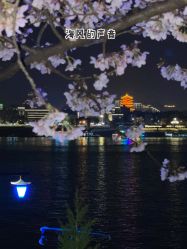 -晴川假日酒店·宴会厅·会议厅