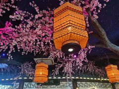 -荷塘秋月·本帮江浙菜(国权路店)