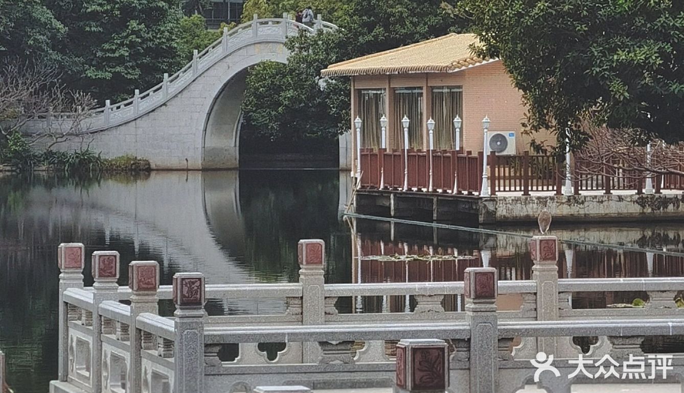 深圳游玩｜来荔枝公园打卡深圳超美水天辉映的建筑风光