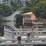深圳游玩｜来荔枝公园打卡深圳超美水天辉映的建筑风光