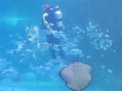 -常州海昌海洋探索馆