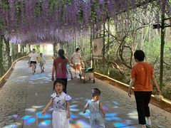 -苏州太湖国家湿地公园