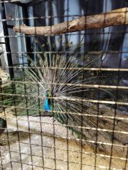 -酷嗒动物文化乐园(cutezoo西溪乐天城店)