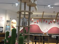 大堂-喵园·猫主题咖啡厅·撸猫·猫咖(国贸店)