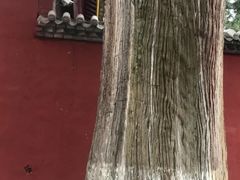 -武侯墓风景区