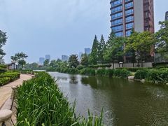 -丁家河公园