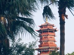 -厦门园林博览苑