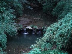 -灵隐飞来峰景区