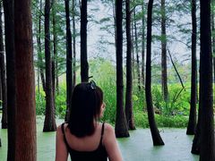 -云龙湖旅游景区