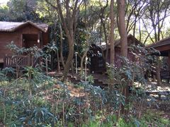 -洪湖悦兮半岛国际温泉度假村