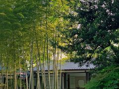 -南山植物园
