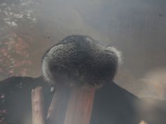 -昆明动物园