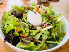 -Hatsune隐泉日式料理(三里屯太古里店)