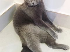 -Heymao猫咖.咖啡厅(东门店)