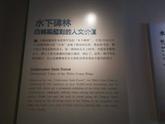 -白鹤梁水下博物馆