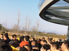 -漩门湾国家湿地公园