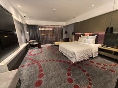 -南京禄口机场雅高铂尔曼大酒店