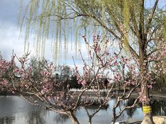 -西海子公园