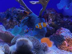 -上海海洋水族馆