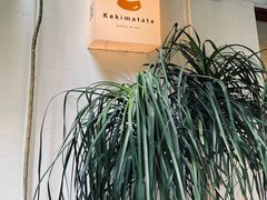 -Kekimatata 生日蛋糕·烘焙教学