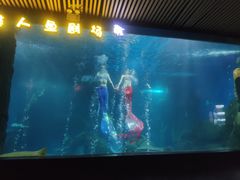 -锦艺城海洋馆