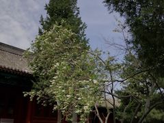 -大钟寺古钟博物馆