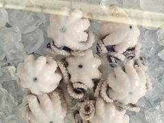 -铭聚章鱼土笋冻(松柏店)