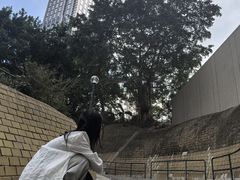 -一蘭拉面(尖沙咀店)
