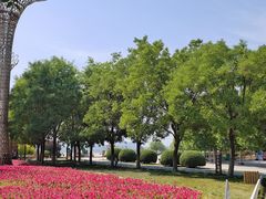 -武清南湖绿博园