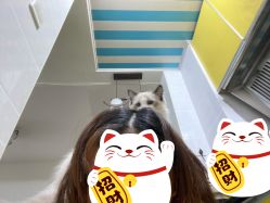 -V8潮牌·接发烫染连锁