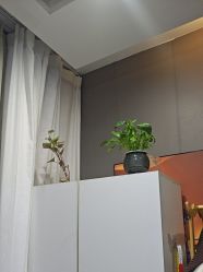 -Dr.林醫生产后修复·配方产康(南京江宁万达店)