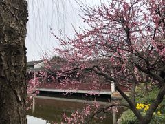 -万福兴(东中市店)