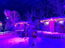 -圣名游乐城冰雪大世界