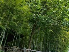 -宝岩生态观光园
